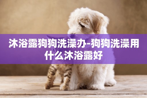 沐浴露狗狗洗澡辦-狗狗洗澡用什么沐浴露好