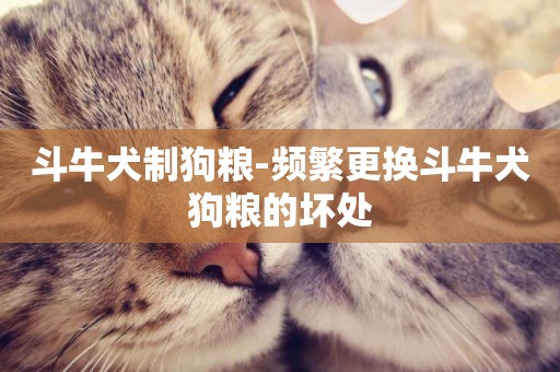 斗牛犬制狗糧-頻繁更換斗牛犬狗糧的壞處
