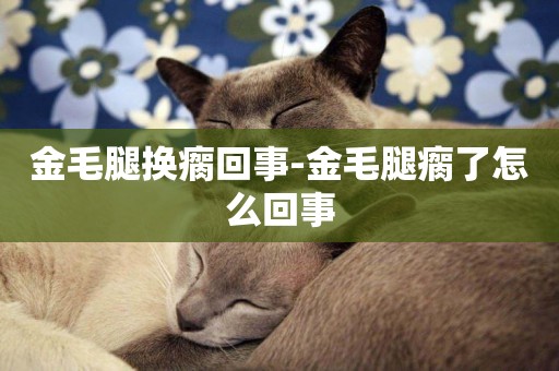 金毛腿換瘸回事-金毛腿瘸了怎么回事
