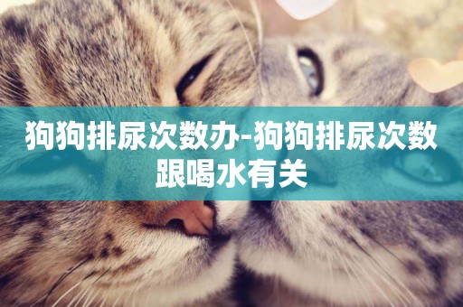 狗狗排尿次數辦-狗狗排尿次數跟喝水有關