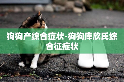 狗狗產綜合癥狀-狗狗庫欣氏綜合征癥狀