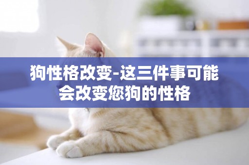 狗性格改變-這三件事可能會改變您狗的性格