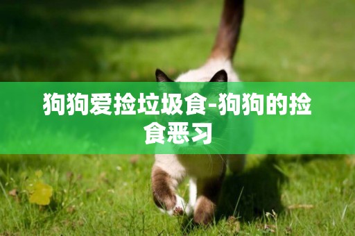 狗狗愛撿垃圾食-狗狗的撿食惡習