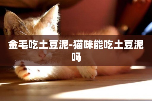金毛吃土豆泥-貓咪能吃土豆泥嗎