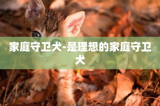 家庭守衛犬-是理想的家庭守衛犬