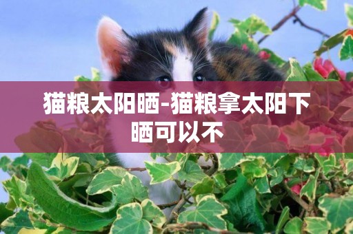 貓糧太陽曬-貓糧拿太陽下曬可以不