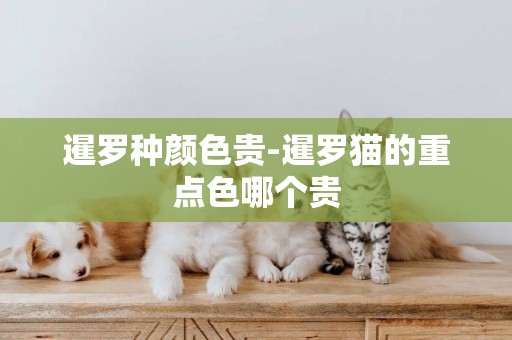 暹羅種顏色貴-暹羅貓的重點色哪個貴