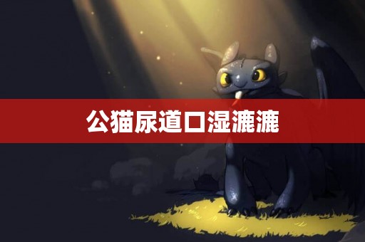 公貓尿道口濕漉漉