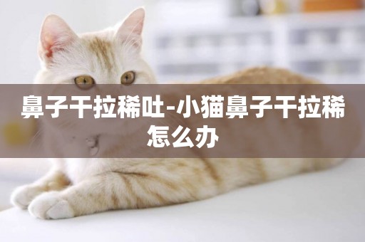 鼻子干拉稀吐-小貓鼻子干拉稀怎么辦