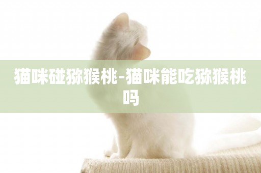 貓咪碰獼猴桃-貓咪能吃獼猴桃嗎