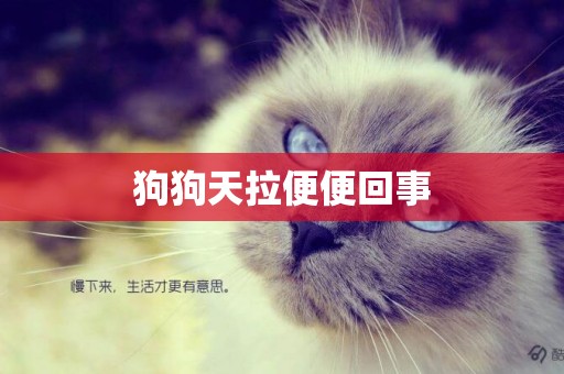 狗狗天拉便便回事