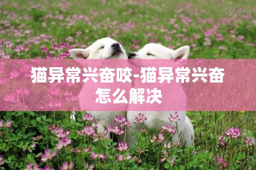 貓異常興奮咬-貓異常興奮怎么解決