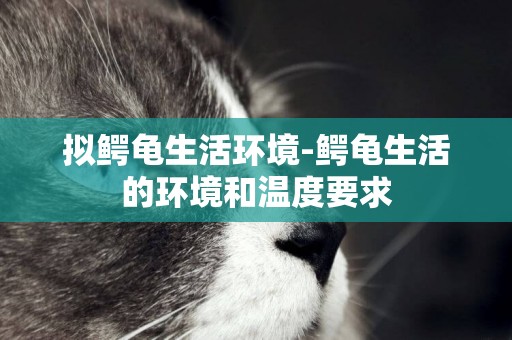 擬鱷龜生活環境-鱷龜生活的環境和溫度要求