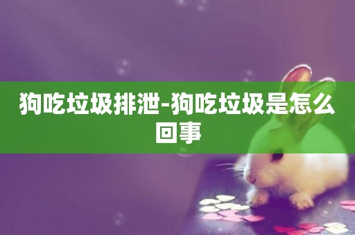 狗吃垃圾排泄-狗吃垃圾是怎么回事