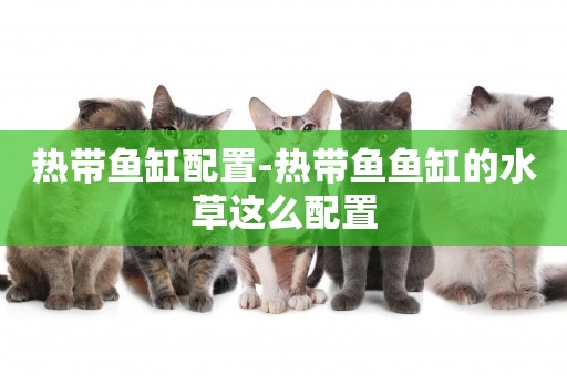 熱帶魚缸配置-熱帶魚魚缸的水草這么配置