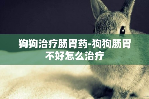 狗狗治療腸胃藥-狗狗腸胃不好怎么治療