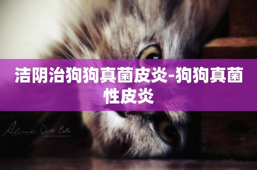 潔陰治狗狗真菌皮炎-狗狗真菌性皮炎