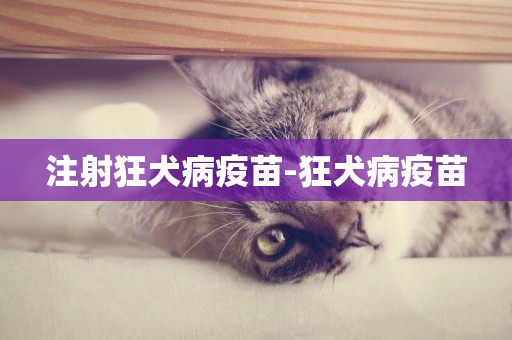 注射狂犬病疫苗-狂犬病疫苗
