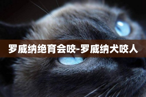 羅威納絕育會咬-羅威納犬咬人