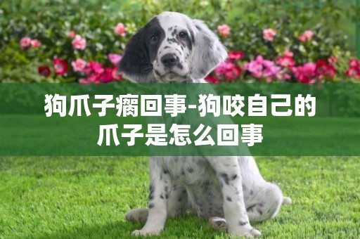 狗爪子瘸回事-狗咬自己的爪子是怎么回事