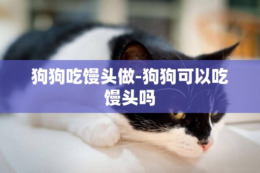 狗狗吃饅頭做-狗狗可以吃饅頭嗎