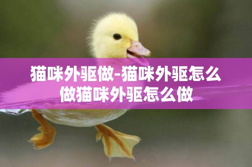 貓咪外驅做-貓咪外驅怎么做貓咪外驅怎么做