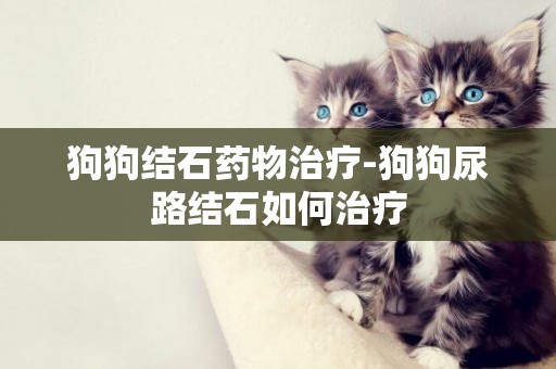 狗狗結石藥物治療-狗狗尿路結石如何治療