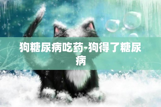 狗糖尿病吃藥-狗得了糖尿病