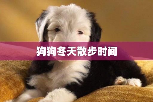 狗狗冬天散步時間
