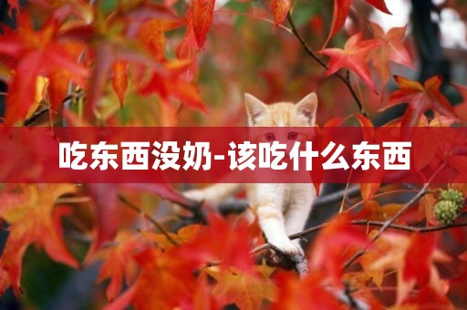 吃東西沒奶-該吃什么東西