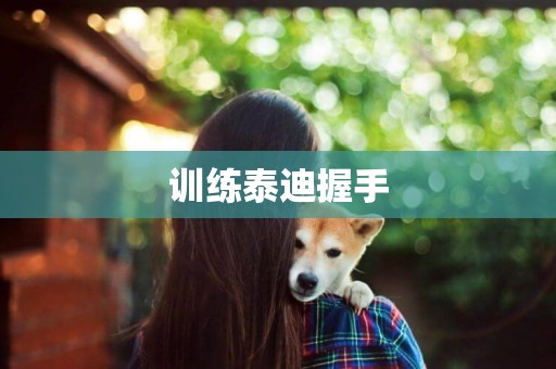 訓練泰迪握手