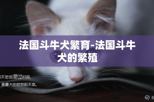 法國斗牛犬繁育-法國斗牛犬的繁殖