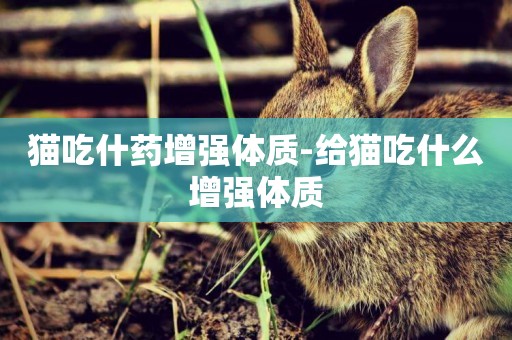 貓吃什藥增強體質-給貓吃什么增強體質