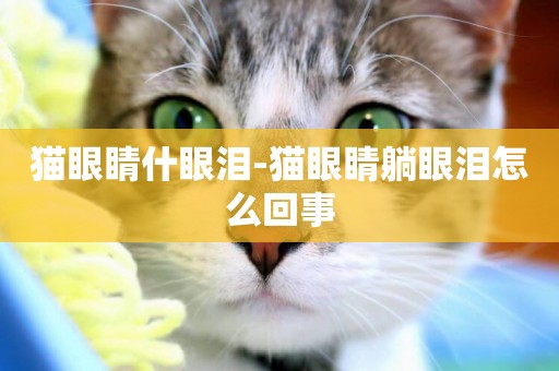 貓眼睛什眼淚-貓眼睛躺眼淚怎么回事