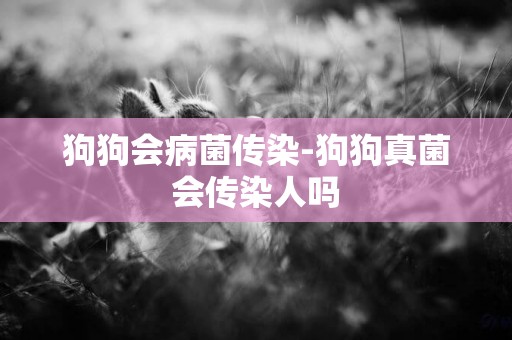 狗狗會病菌傳染-狗狗真菌會傳染人嗎
