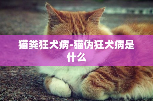 貓糞狂犬病-貓偽狂犬病是什么
