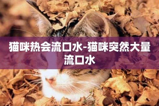 貓咪熱會流口水-貓咪突然大量流口水