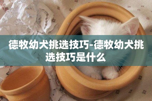 德牧幼犬挑選技巧-德牧幼犬挑選技巧是什么