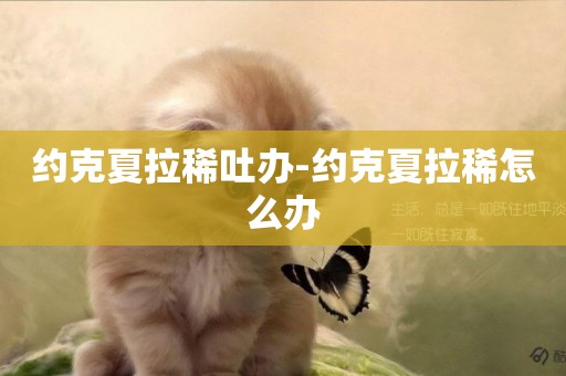 約克夏拉稀吐辦-約克夏拉稀怎么辦