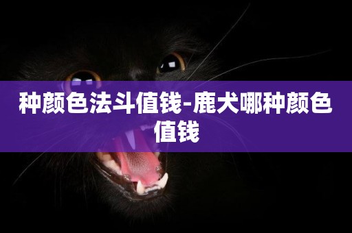 種顏色法斗值錢-鹿犬哪種顏色值錢