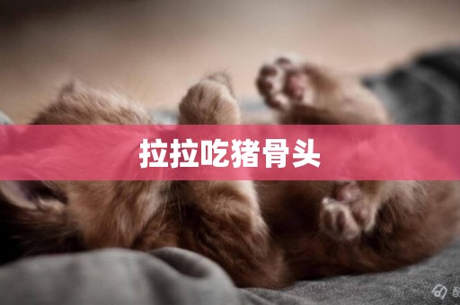 拉拉吃豬骨頭