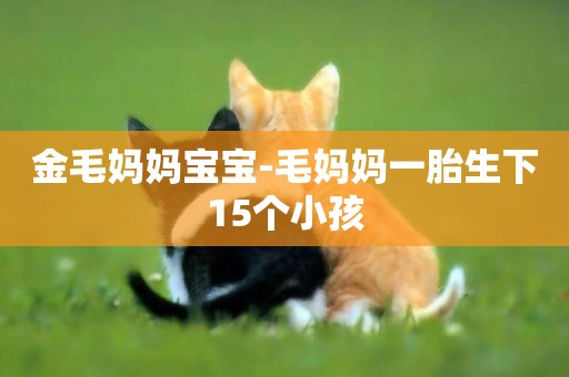 金毛媽媽寶寶-毛媽媽一胎生下15個小孩