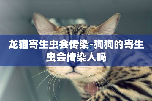 龍貓寄生蟲會傳染-狗狗的寄生蟲會傳染人嗎