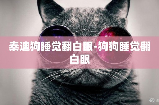 泰迪狗睡覺翻白眼-狗狗睡覺翻白眼