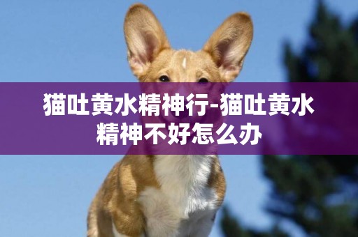 貓吐黃水精神行-貓吐黃水精神不好怎么辦