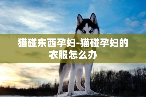 貓碰東西孕婦-貓碰孕婦的衣服怎么辦