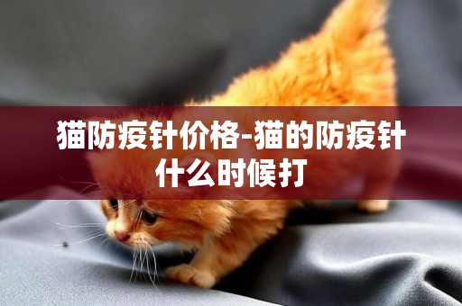 貓防疫針價格-貓的防疫針什么時候打