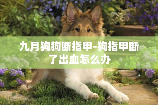 九月狗狗斷指甲-狗指甲斷了出血怎么辦
