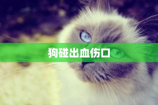 狗碰出血傷口