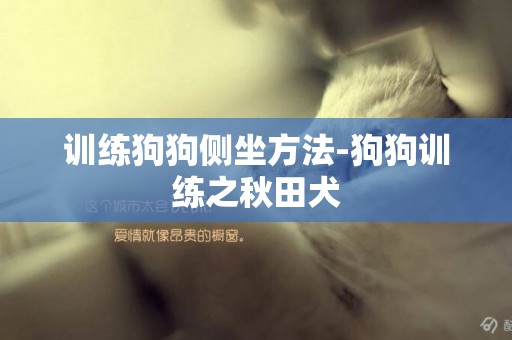 訓練狗狗側坐方法-狗狗訓練之秋田犬